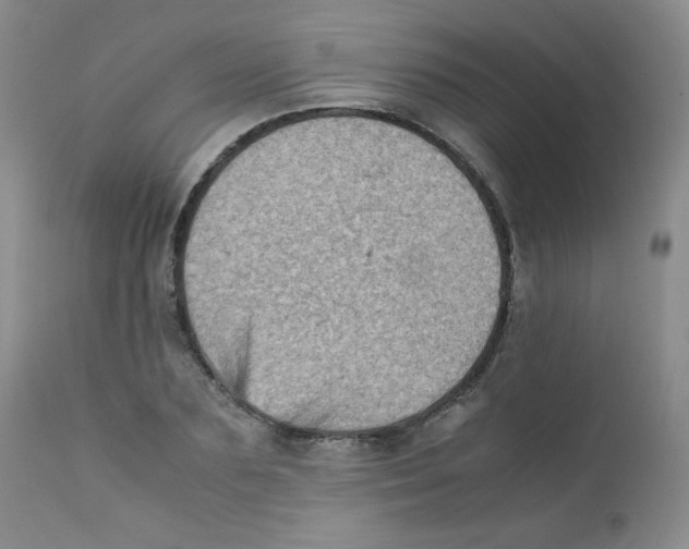 X0000111900883200908240959