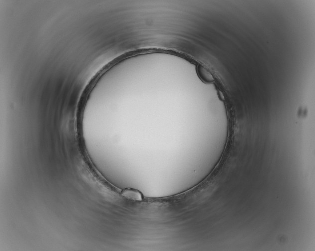 X0000111900884200908240959