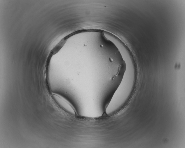 X0000111900885200908240959