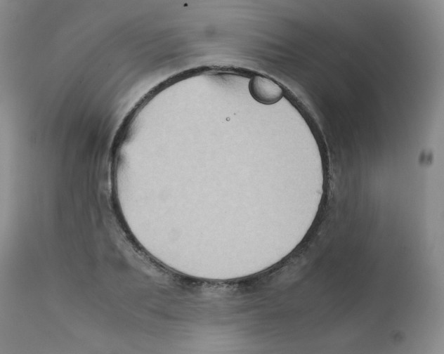 X0000111900887200908240959