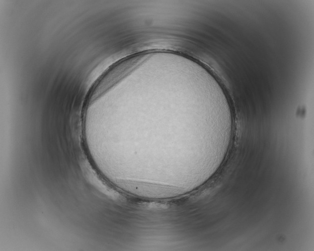 X0000111900890200908240959