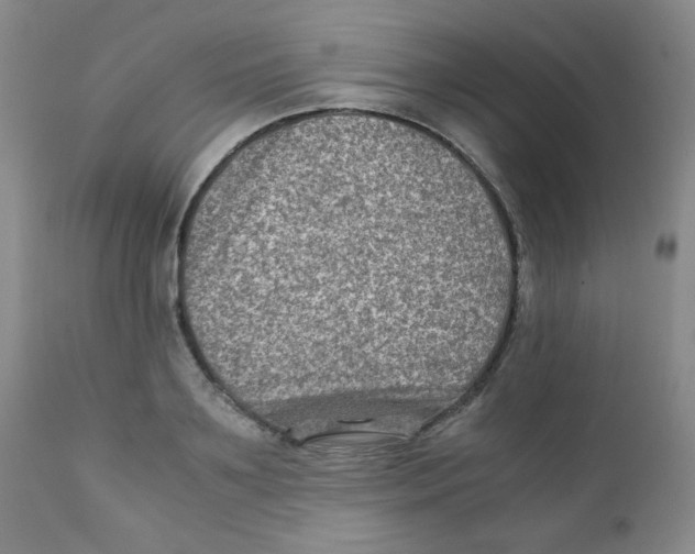 X0000111900891200908240959