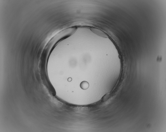 X0000111900893200908240959