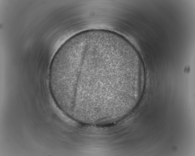 X0000111900895200908240959