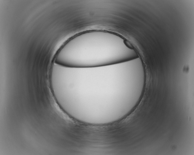 X0000111900896200908240959