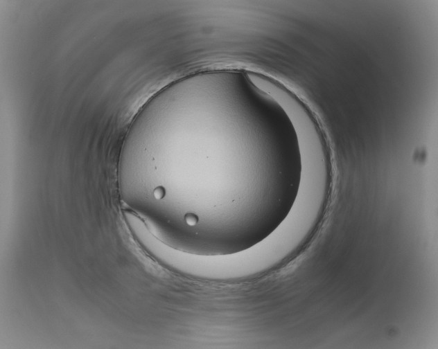 X0000111900897200908240959