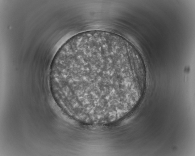 X0000111900899200908240959