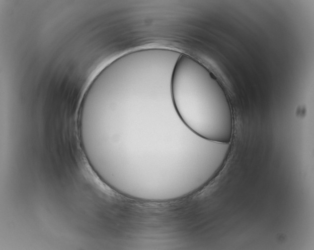 X0000111900900200908240959