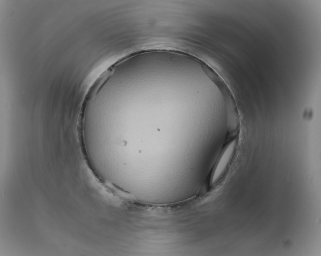 X0000111900901200908240959