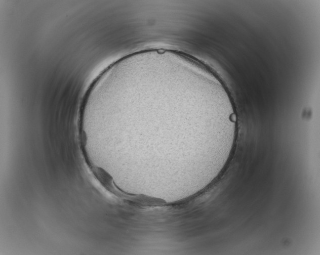 X0000111900902200908240959