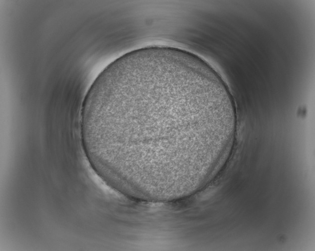 X0000111900903200908240959