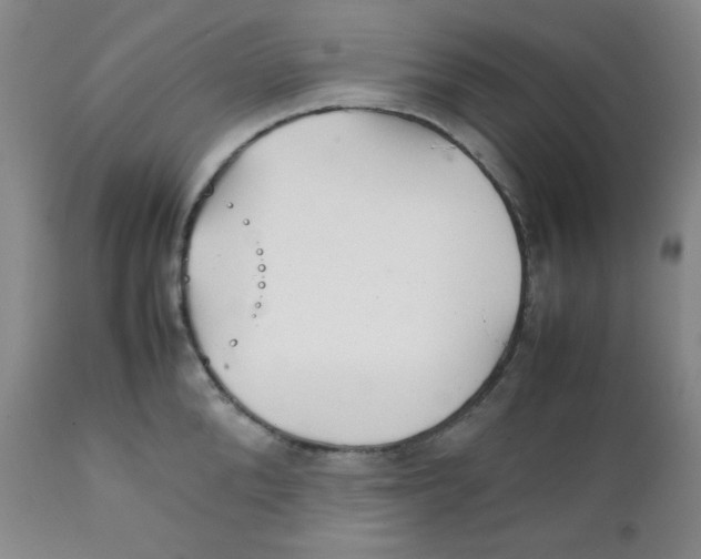 X0000111900904200908240959