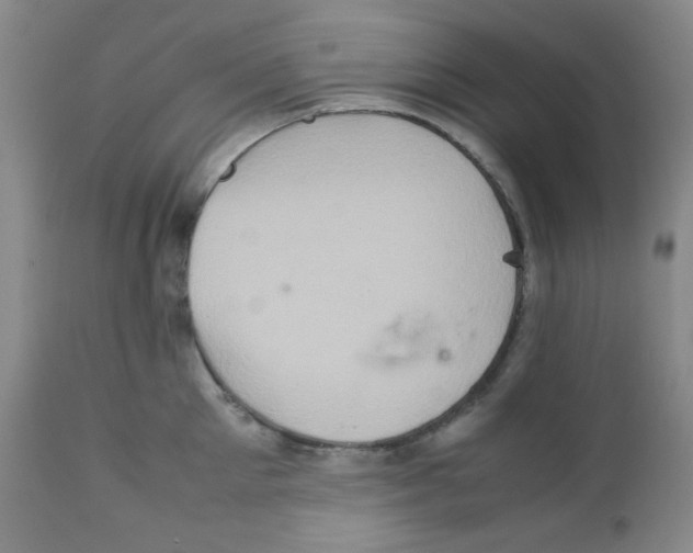 X0000111900905200908240959