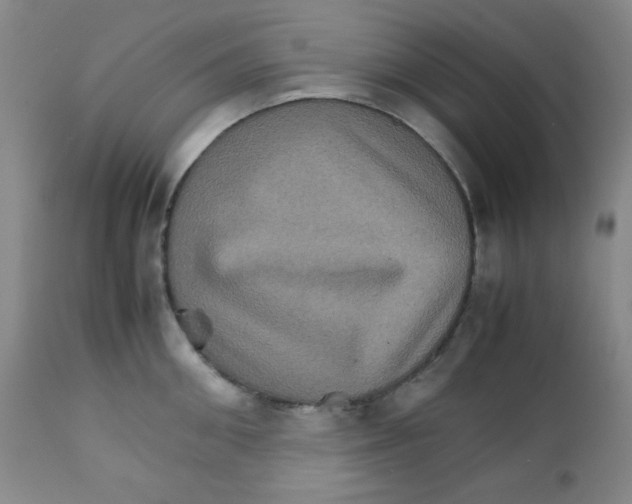 X0000111900906200908240959