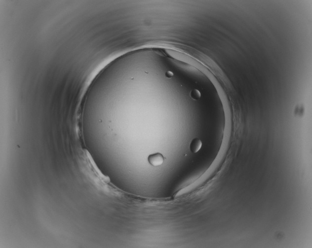 X0000111900908200908240959