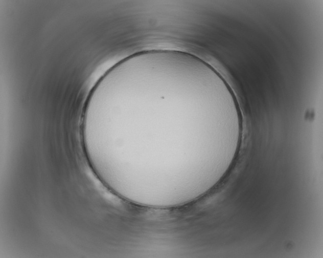 X0000111900909200908240959