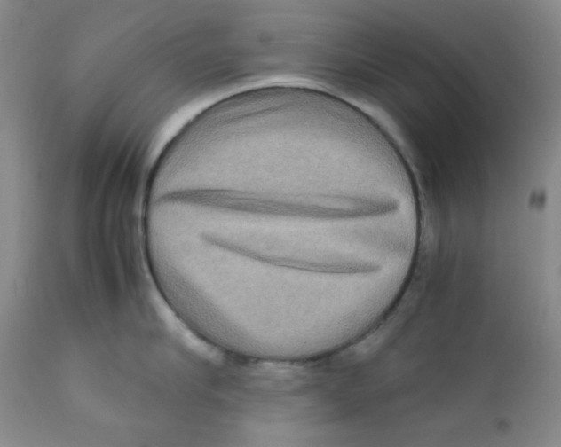 X0000111900910200908240959