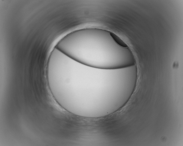 X0000111900912200908240958