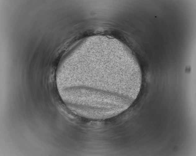 X0000111900914200908240958