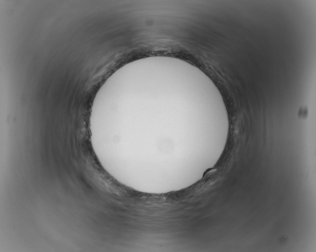 X0000111900916200908240958