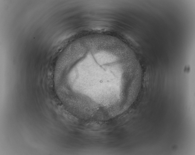 X0000111900917200908240958