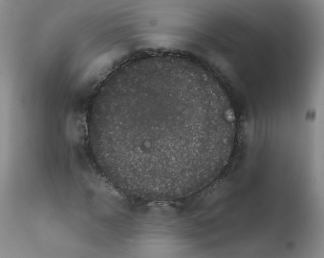 X0000111900918200908240958