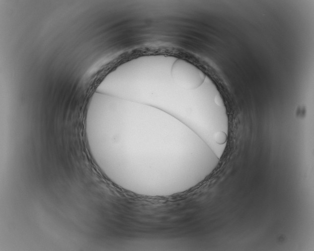 X0000111900919200908240958