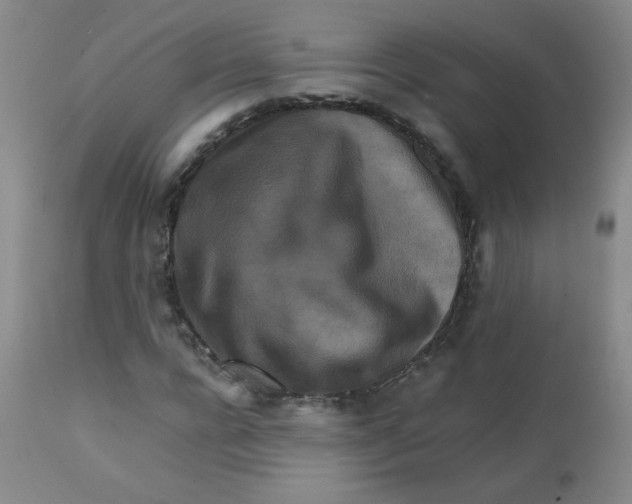 X0000111900920200908240958