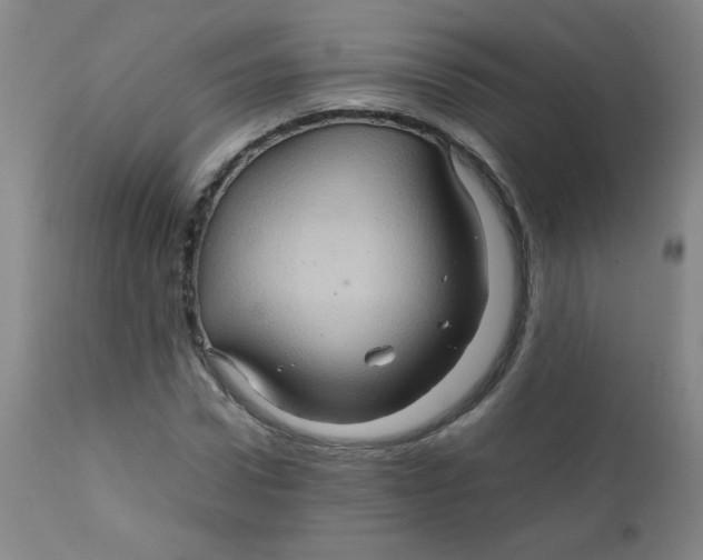 X0000111900922200908240958