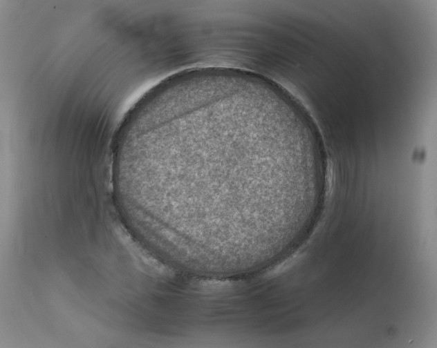 X0000111900925200908240958