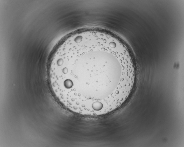 X0000111900927200908240958