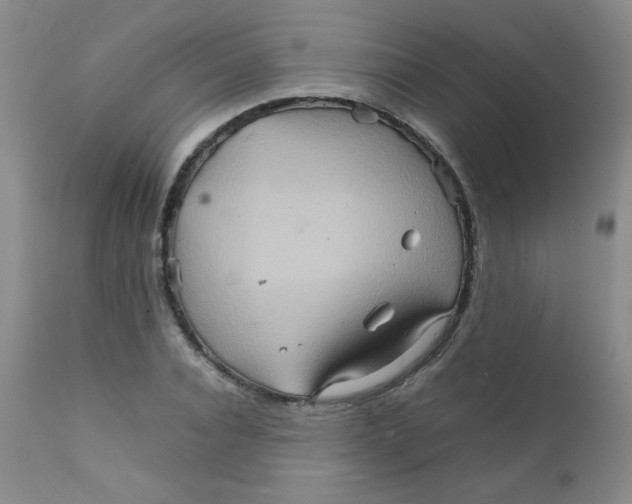 X0000111900928200908240958