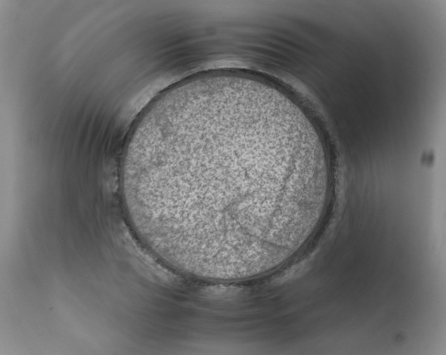 X0000111900929200908240958