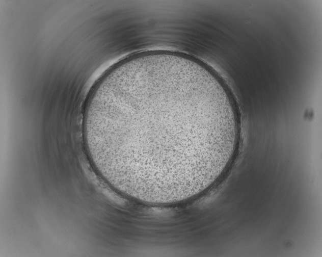 X0000111900933200908240958