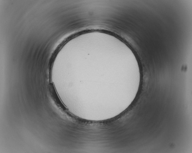 X0000111900934200908240958