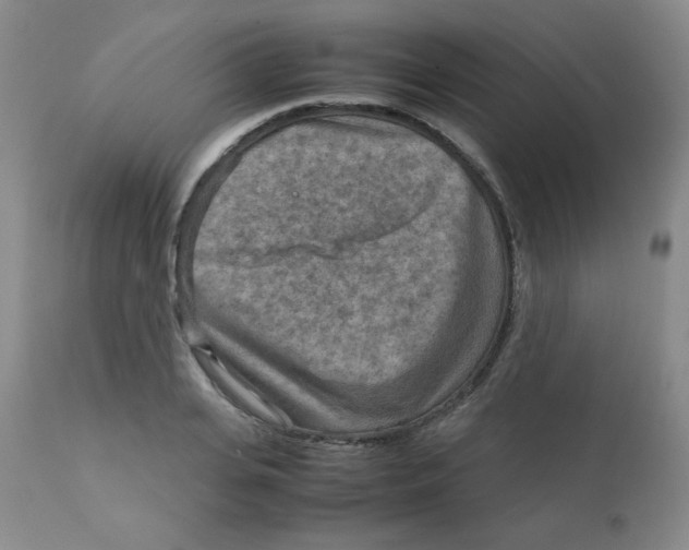 X0000111900935200908240958