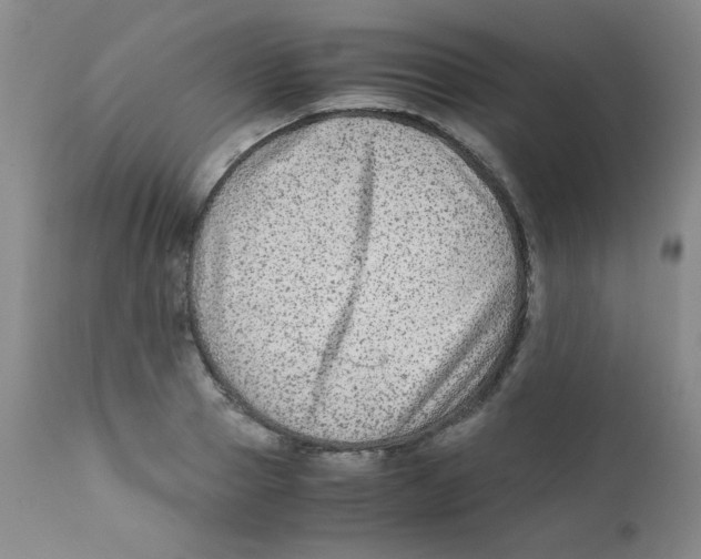 X0000111900937200908240958