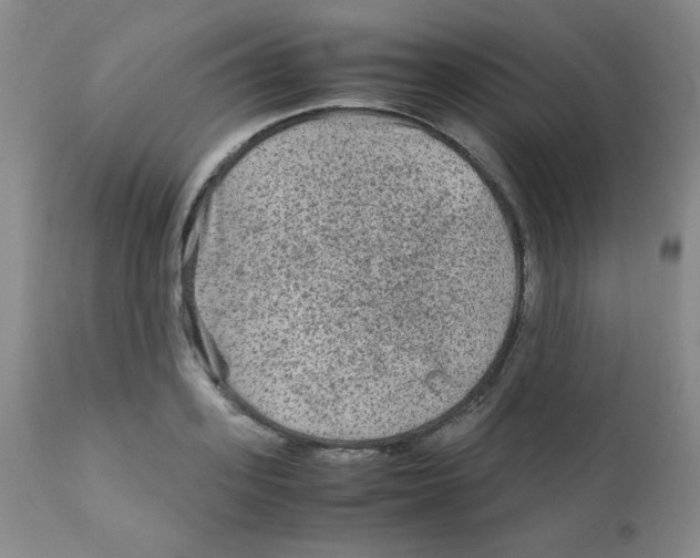 X0000111900939200908240958