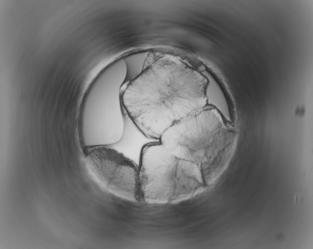 X0000111900941200908240958