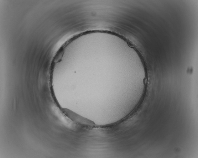 X0000111900942200908240958