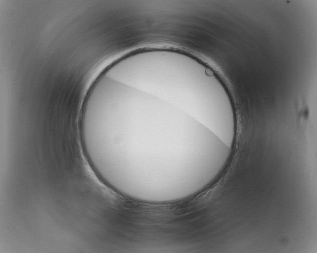 X0000111900943200908240958