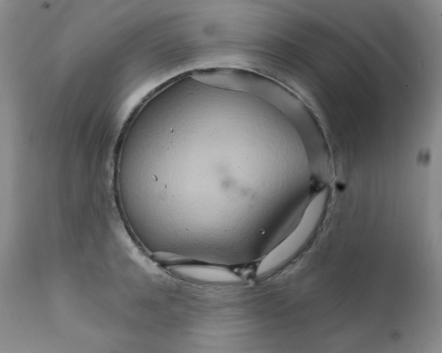 X0000111900944200908240958