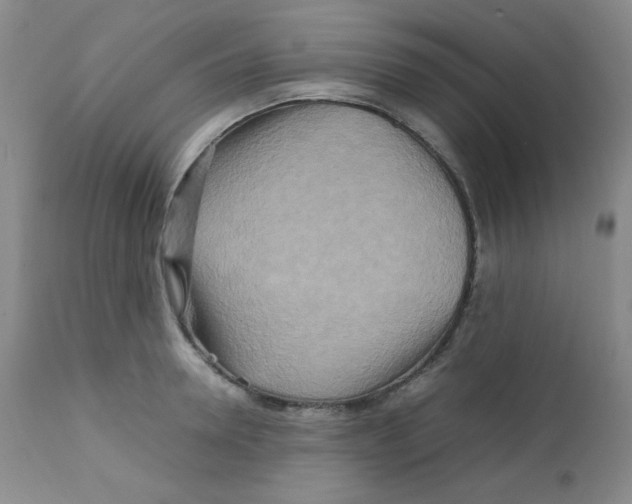 X0000111900946200908240958