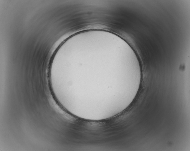 X0000111900947200908240958