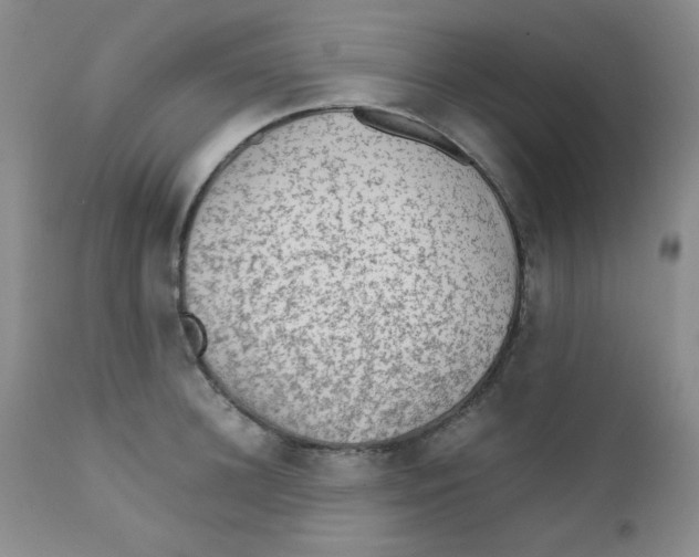 X0000111900948200908240958