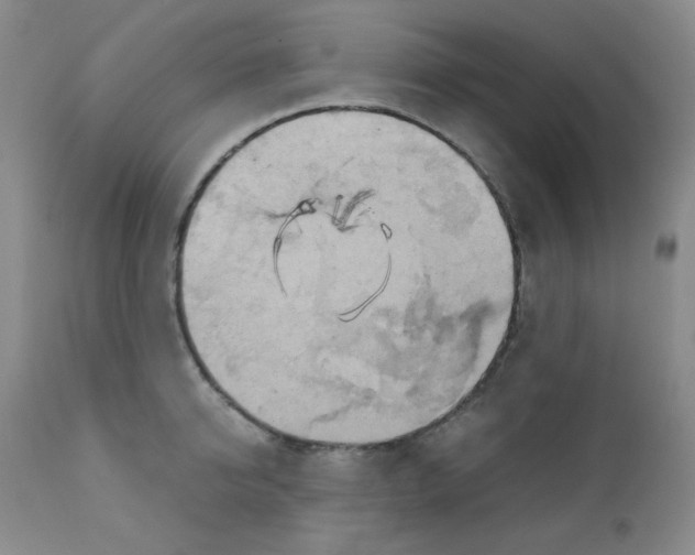 X0000111900950200908240958