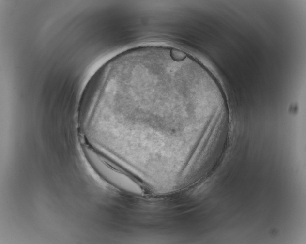 X0000111900951200908240958