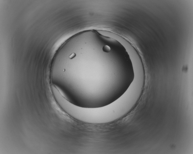 X0000111900952200908240958