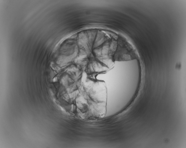 X0000111900953200908240958