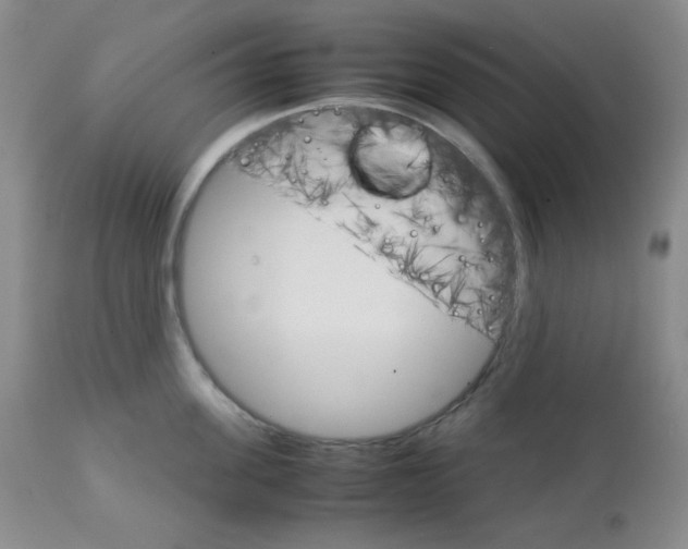 X0000111900955200908240958